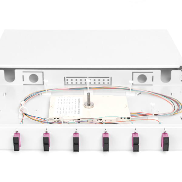 Panel de conexión de fibra óptica montado 6 puertos SC OM4