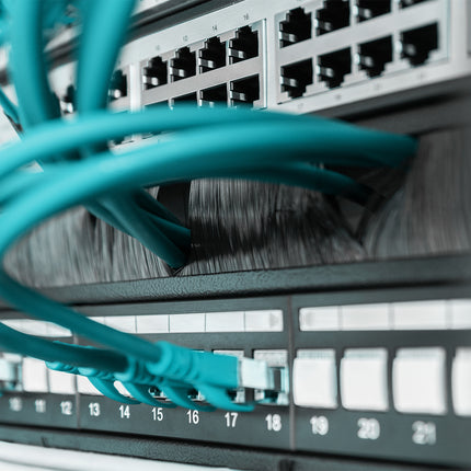 Panel de entrada de cables de 19 pulgadas con cepillo - 1U