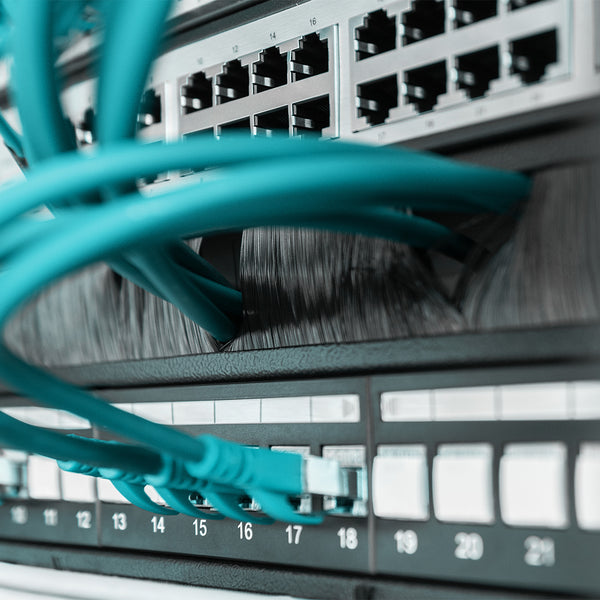 Panel de entrada de cables de 19 pulgadas con cepillo - 1U