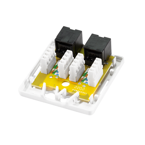 CAT6a opbouwdoos 2x RJ45 UTP
