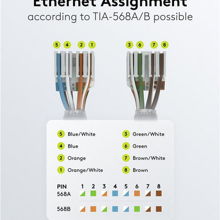 Conector RJ45 sin herramientas CAT6a - STP