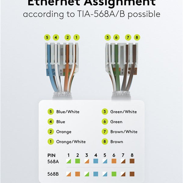 Conector RJ45 sin herramientas CAT6a - STP