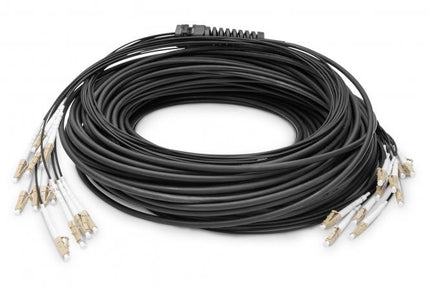 Cable de fibra óptica multimodo OM4, 12 fibras, premontado, 100 m, LC/UPC - LC/UPC 