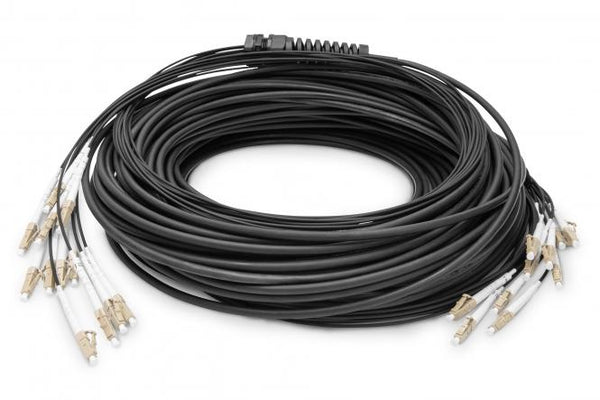 Cable de fibra óptica multimodo OM4, 12 fibras, premontado, 50 m, LC/UPC - LC/UPC 