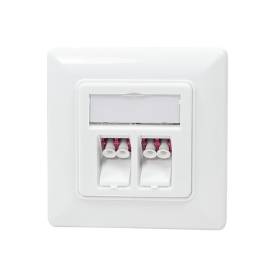 Fiberglass flush-mounted box faceplate 2-way