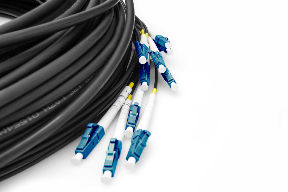 Cable de fibra óptica universal premontado, 50 m, monomodo OS2, 12 fibras, LC/UPC - LC/UPC 