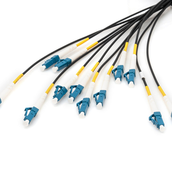 Cable de fibra óptica universal preensamblado de 75 M, monomodo OS2, 12 fibras, LC/UPC - LC/UPC 