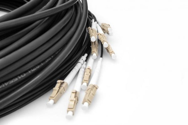 Cable de fibra óptica multimodo OM4, 12 fibras, premontado, 50 m, LC/UPC - LC/UPC 