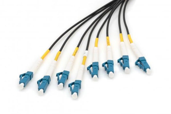 Cable de fibra óptica universal premontado, 30 m, monomodo OS2, 8 fibras, LC/UPC - LC/UPC 